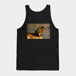 Guatemala - Lago Atitlan, Oiseau Tank Top